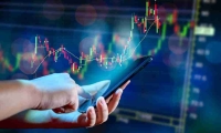 新金路：简易程序向特定对象发行股票申请获受理